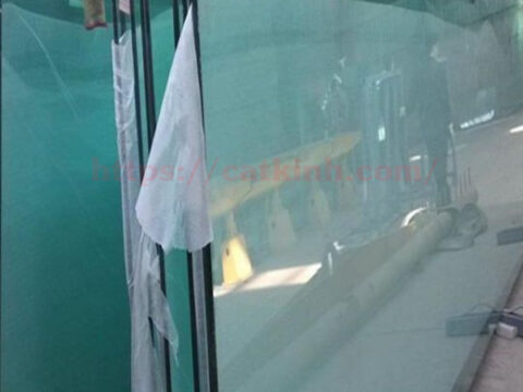 catkinhcuonglucquan103